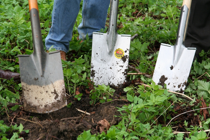 pepiniere-VERIGNON-min_work-lawn-flower-tool-green-backyard-1103633-pxhere.com